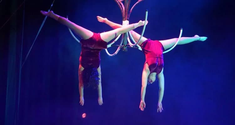 FREE-circus-shows-valencia-gateways-and--experiences