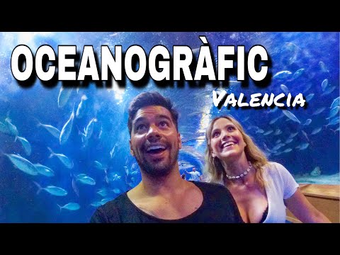 Cuánto tiempo se tarda en ver el Oceanografic de Valencia