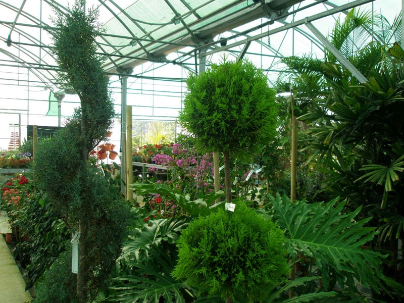 Jardín Botánico de Cullera
