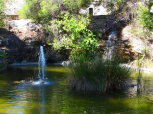 hoyo-de-la-virgen