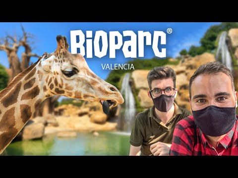 Ver los animales del Bioparc en Valencia