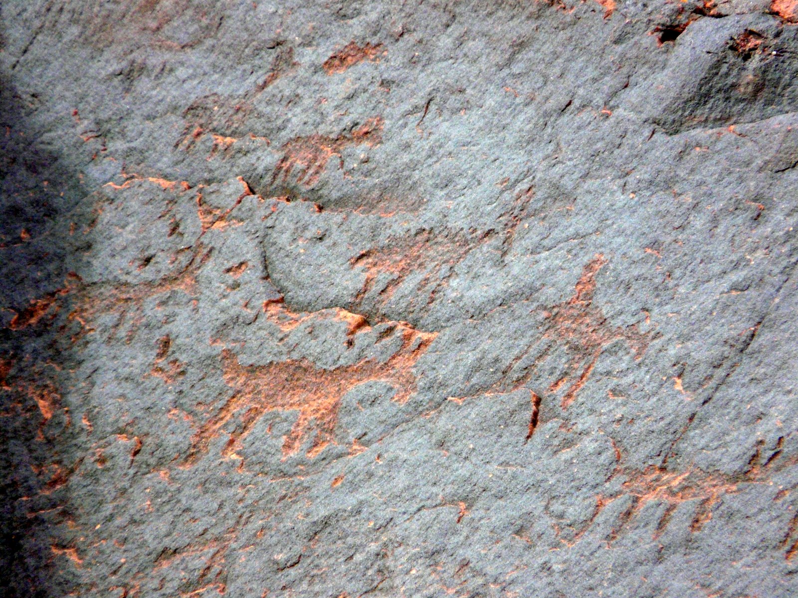 -​ Descubre los‍ fascinantes petroglifos del Santuario ​de⁢ Pla de Petracos: Un viaje a través⁢ del arte ⁢rupestre ancestral