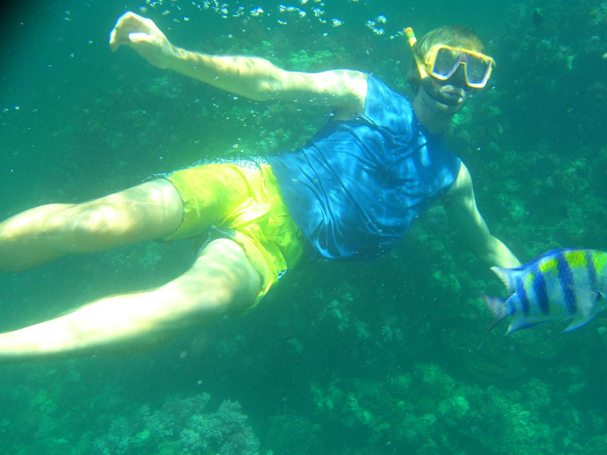 - Recomendaciones ‍para disfrutar al máximo del snorkel en‌ Xàbia: equipos indispensables y consejos expertos