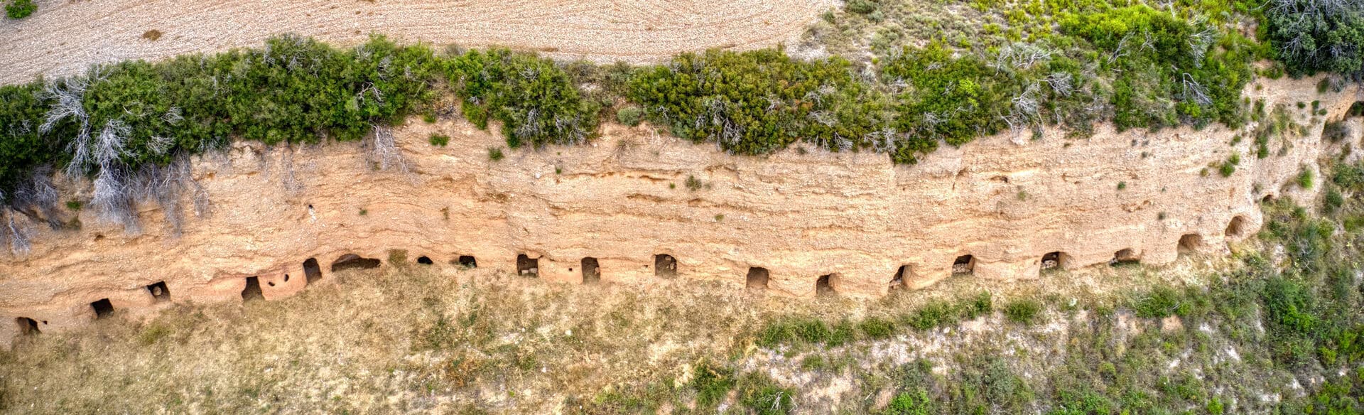 Andilla-osset-cuevas