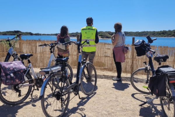 Bike ride through l'Albufera