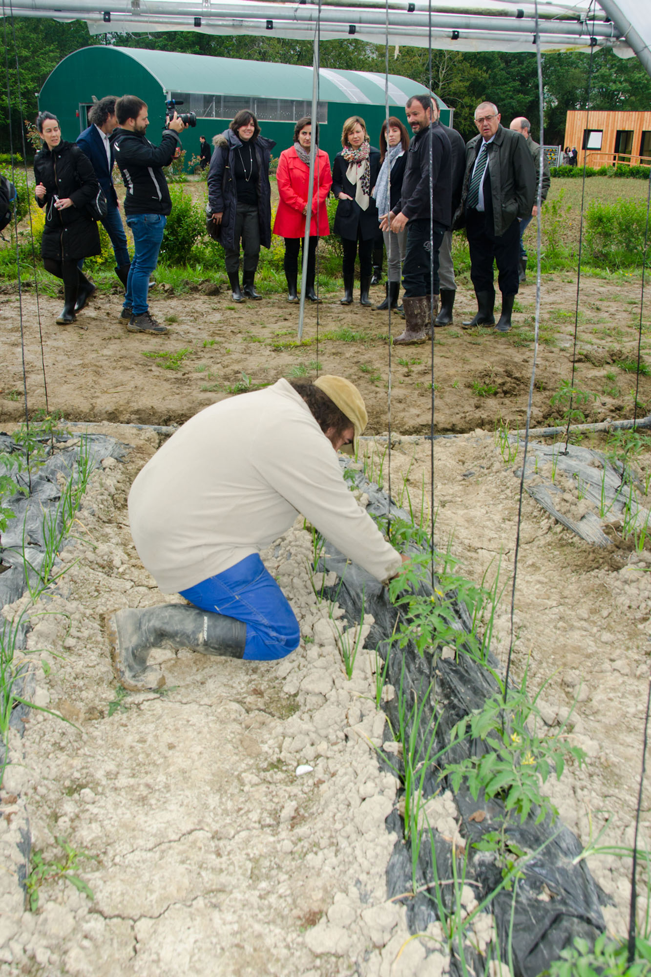 - Innovación ecológica: Las iniciativas sostenibles que están transformando Valencia