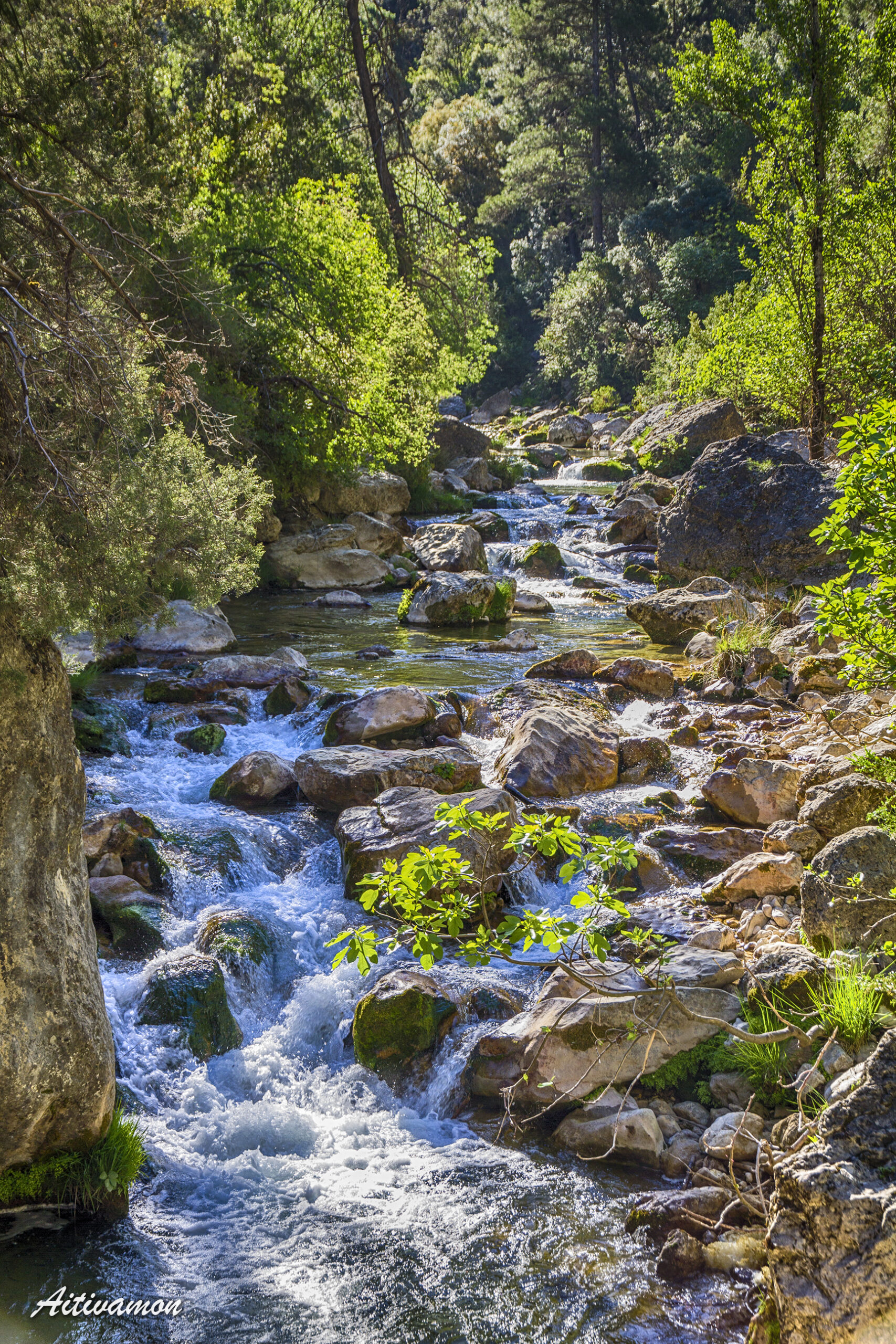 - Una experiencia única: Recorriendo los impresionantes senderos de montaña