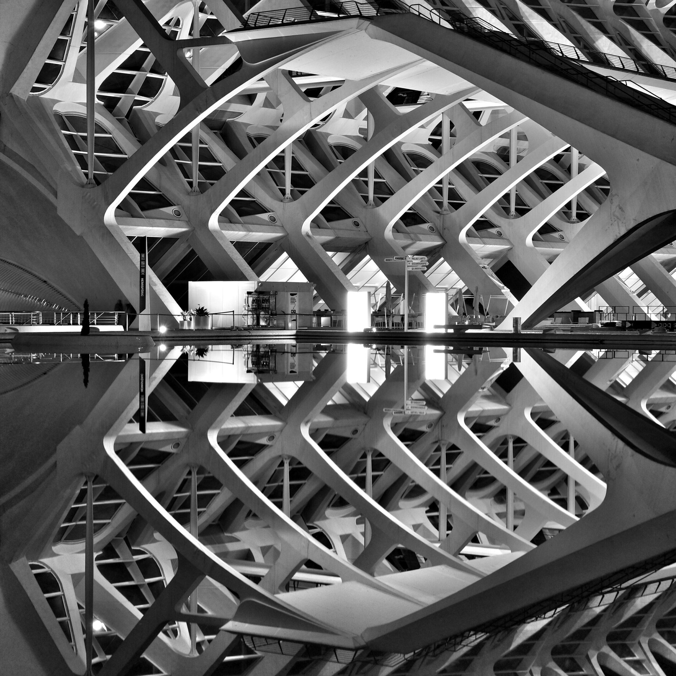 5. Mentes curiosas al poder: actividades interactivas para todas las edades en el Museo de las Ciencias de Valencia