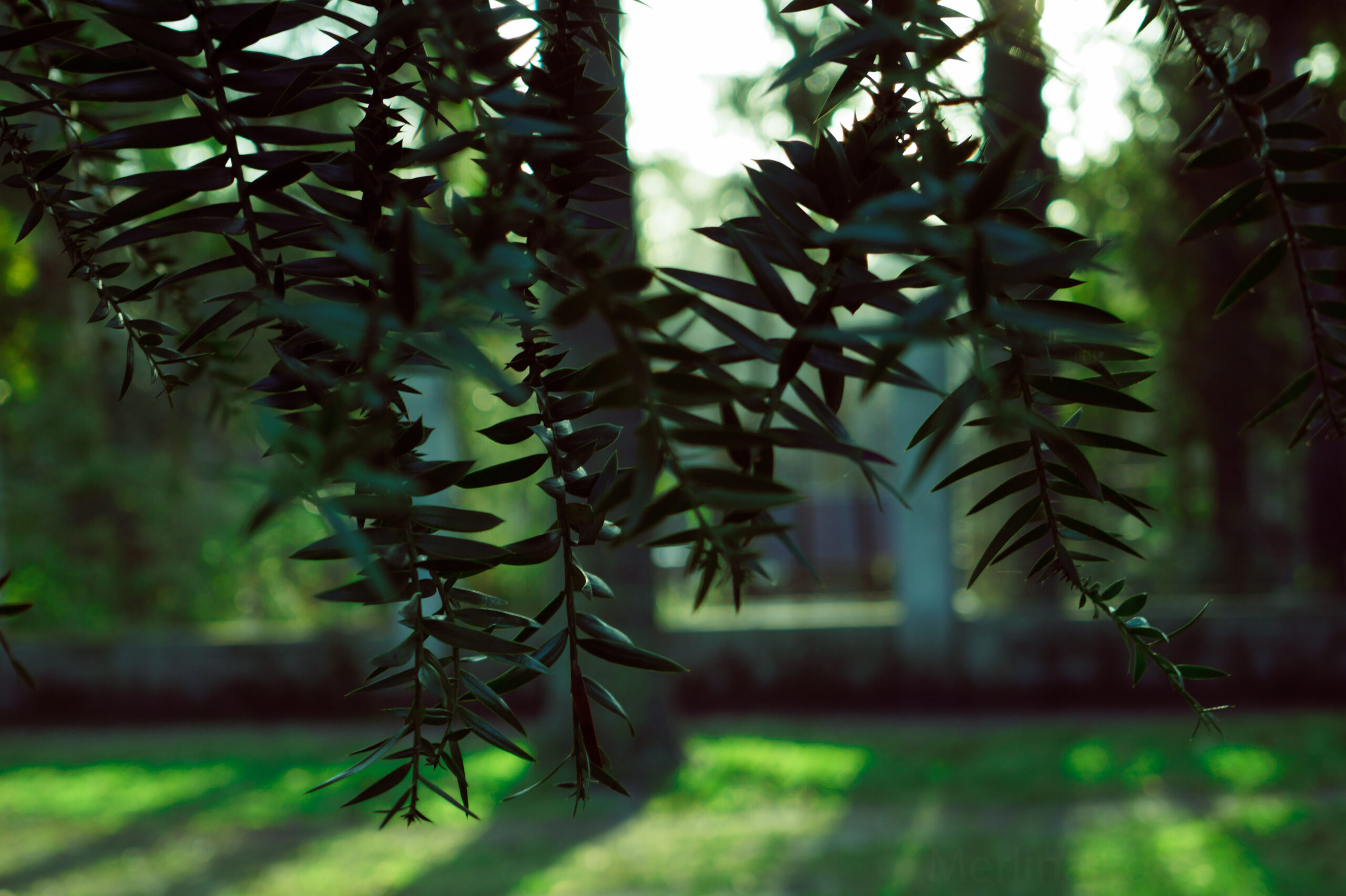 3. Naturaleza y espiritualidad en equilibrio: Conecta con la energía positiva y renueva tu espíritu en este lugar sagrado