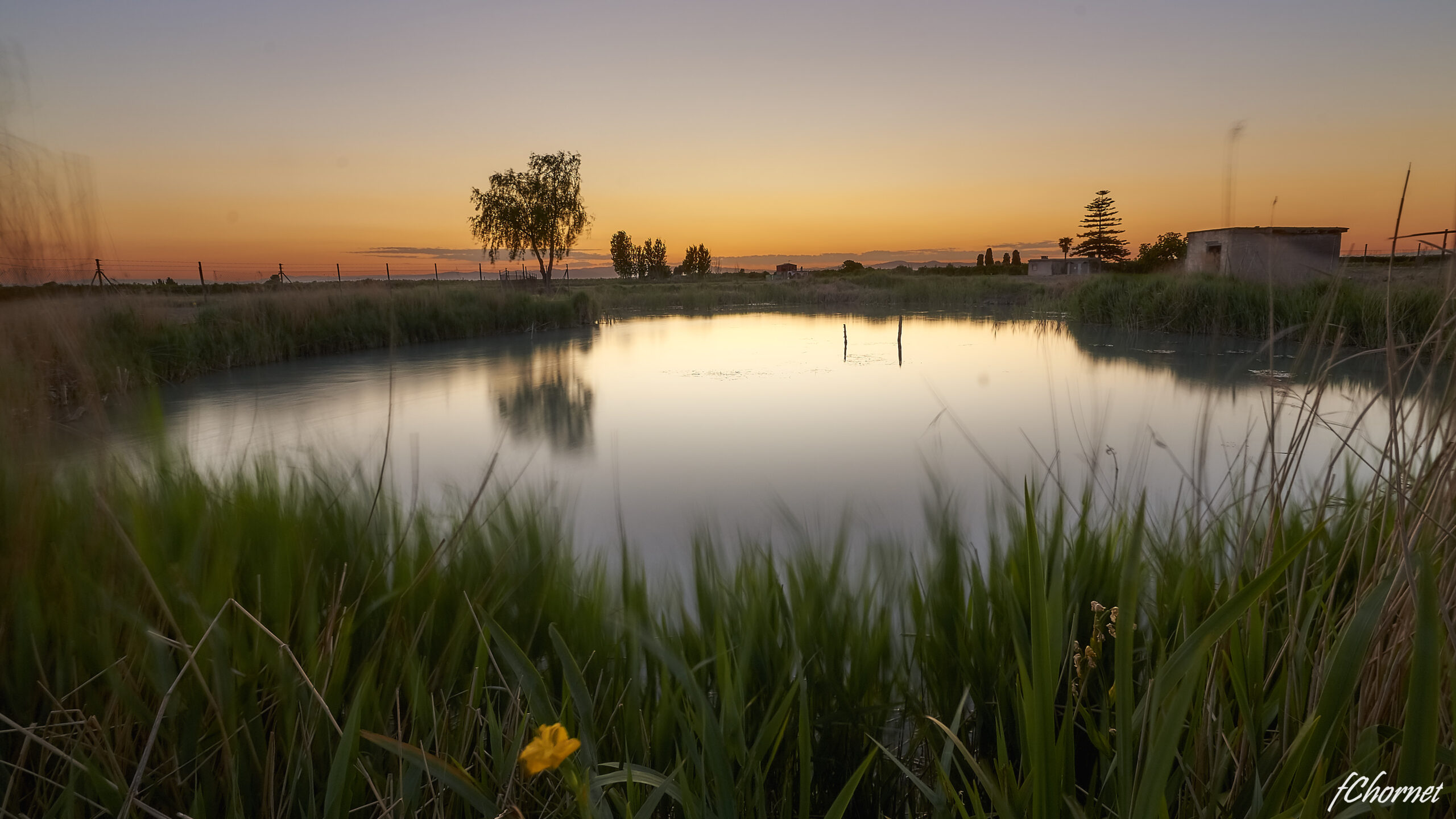 El Parque Natural de la Albufera: El tesoro natural más emblemático de Valencia