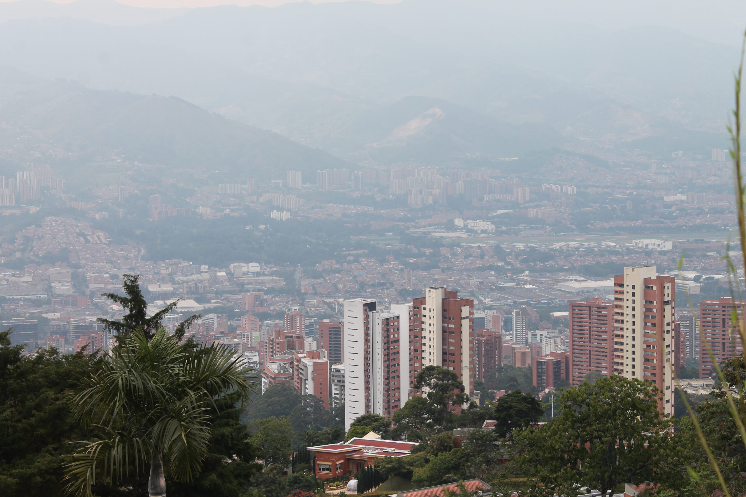 - De la contaminación a la conservación: Cómo Valencia se está convirtiendo en un referente ecológico