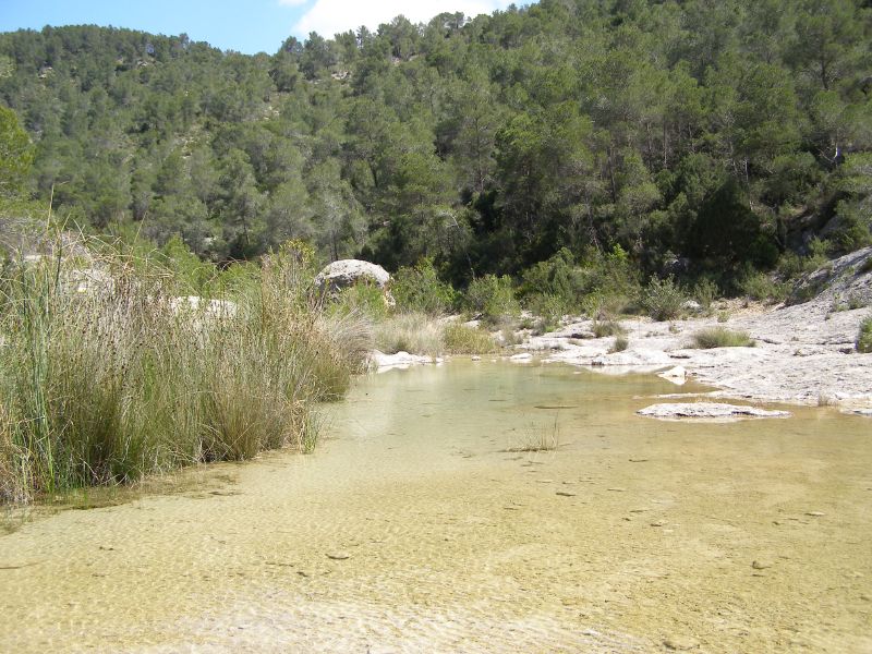 - Embárcate en una jornada única de naturaleza en Bicorp: El increíble río Cazuma y la fascinante Gola de Lucino