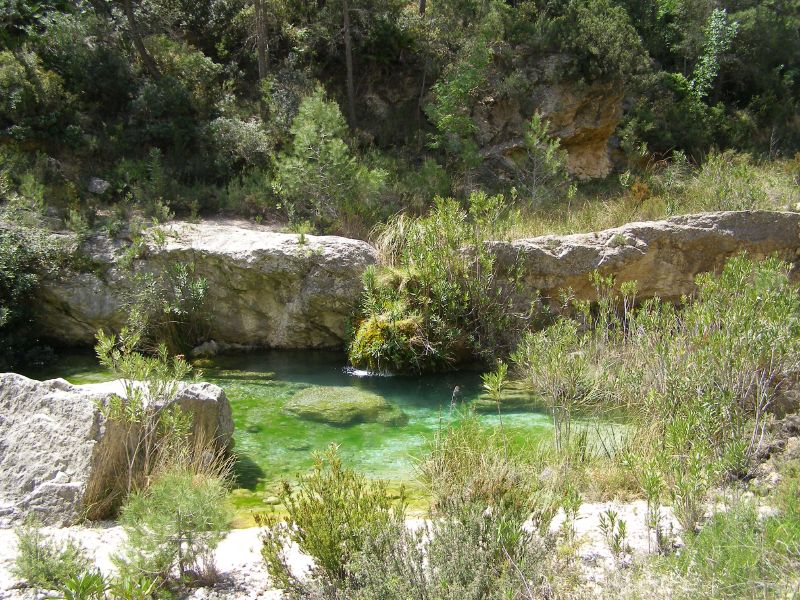 - Experimenta la aventura en la naturaleza: Explorando el río Cazuma y la Gola de Lucino en Bicorp