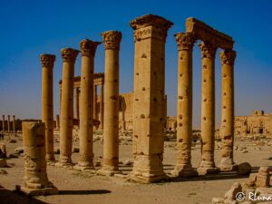 Tras las huellas ancestrales: Arqueología valenciana revela tesoros históricos