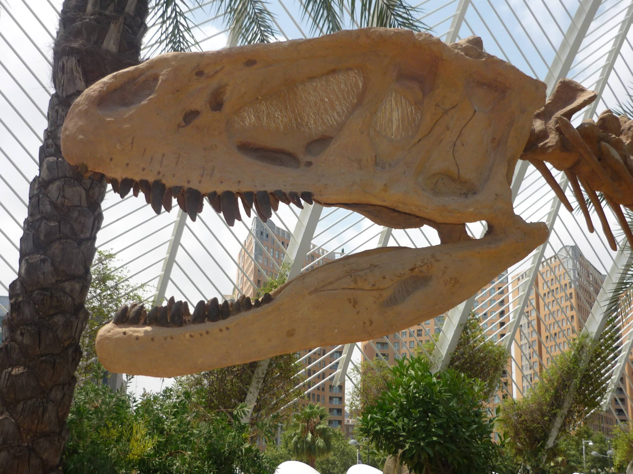 Siguiendo las huellas: Los dinosaurios se hacen presentes en la Comunidad Valenciana