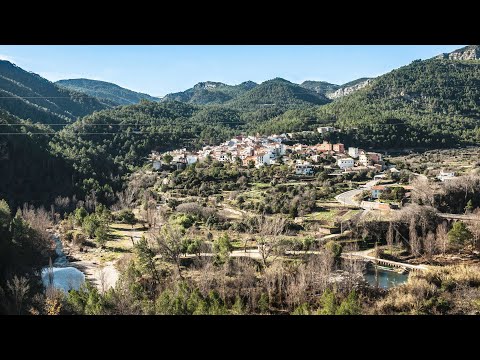 Cirat en Castellón