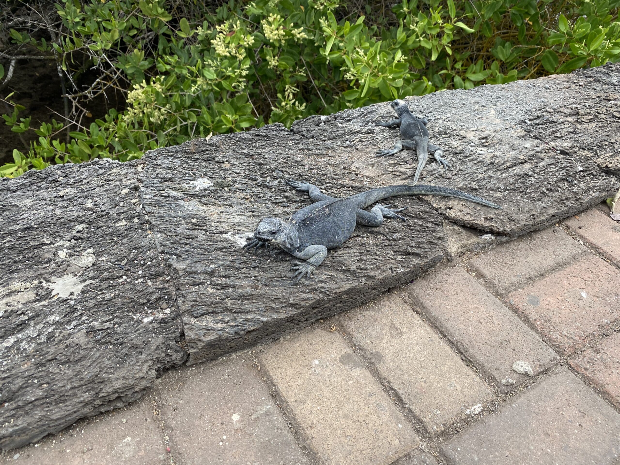 El Sagrado Encuentro: El Rincón del Beso de Ayora