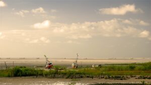 El Pozo Vidal: Un Remanso Paradisíaco del Río Villahermosa, ¡Sumérgete en la Plenitud!