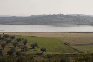 Descubriendo maravillas naturales con los peques en Valenciananatura: rutas senderistas imprescindibles