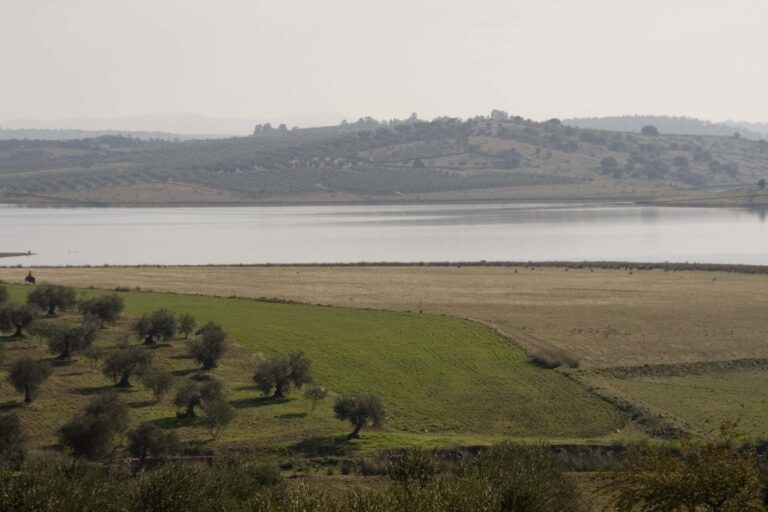 Descubriendo maravillas naturales con los peques en Valenciananatura: rutas senderistas imprescindibles