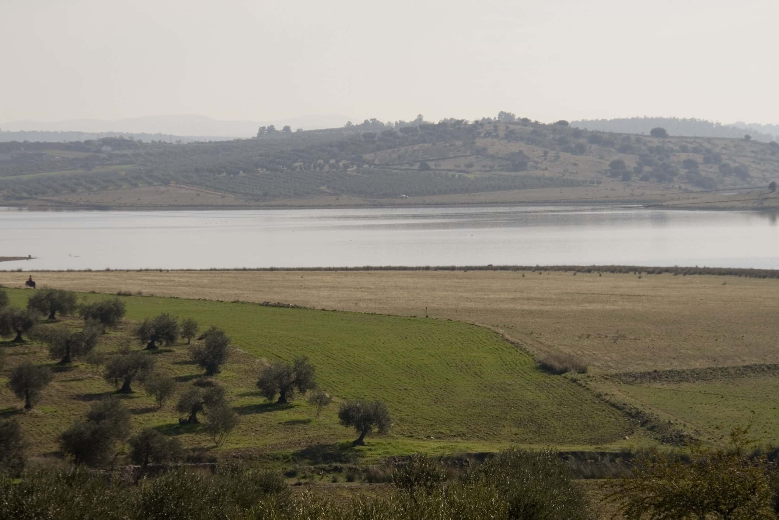 Descubriendo maravillas naturales con los peques en Valenciananatura: rutas senderistas imprescindibles