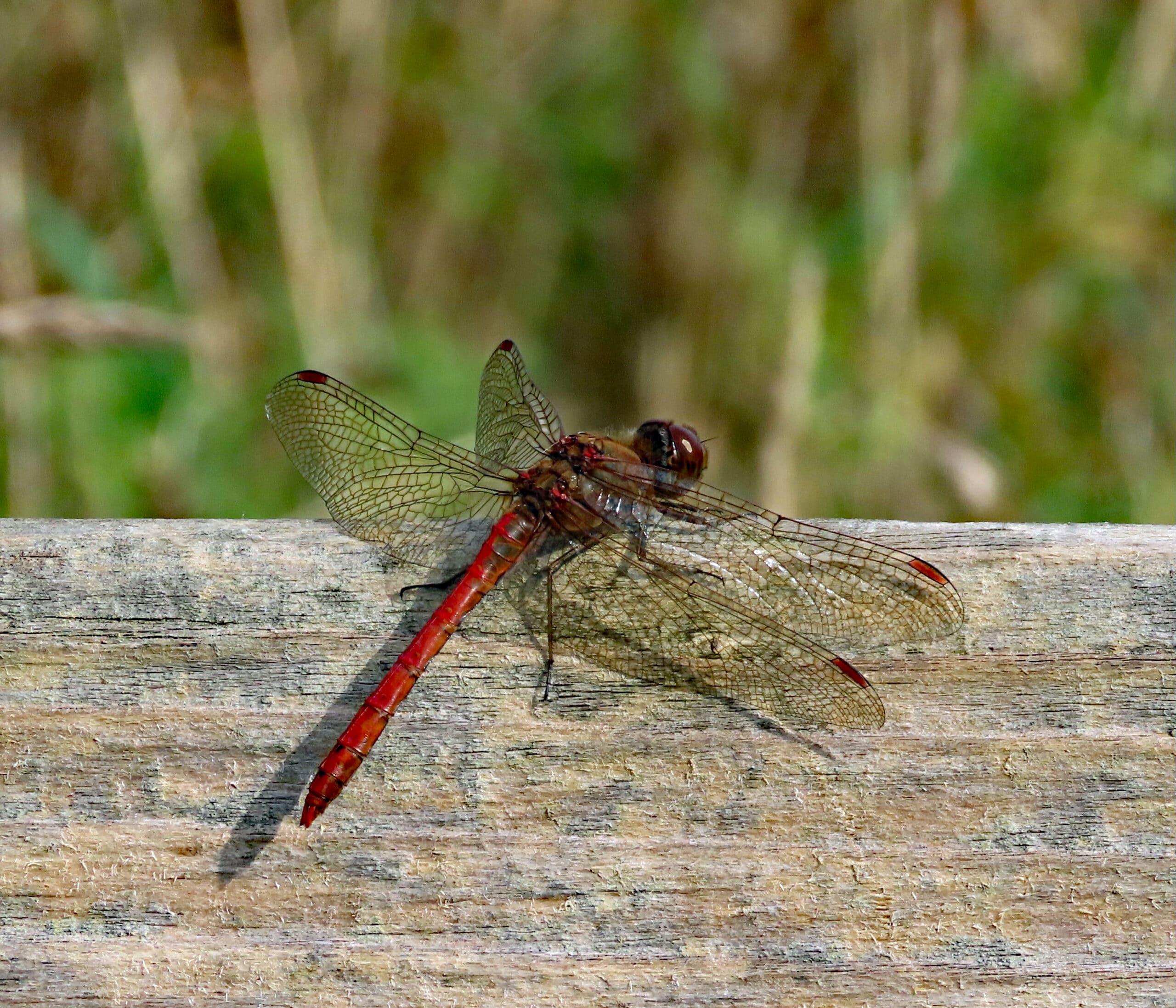 Tras los tesoros ocultos: Matet, una joya escondida en la Sierra de Espadán