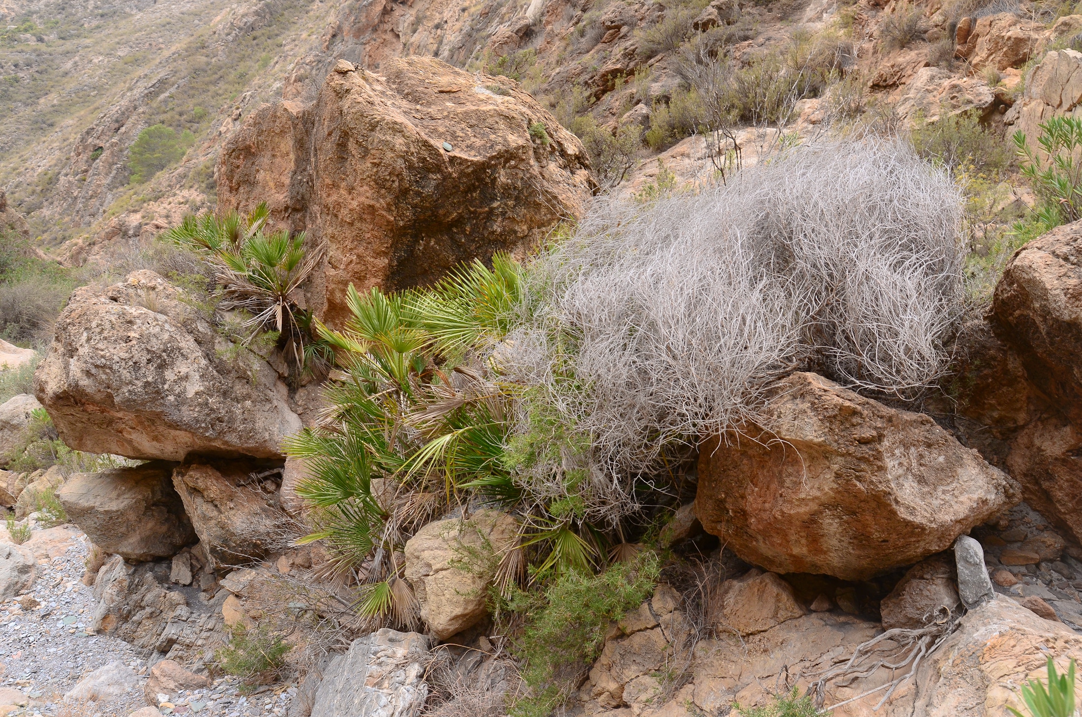 Esplendor panorámico: El Mirador del Acueducto en Rambla Seca deja sin aliento