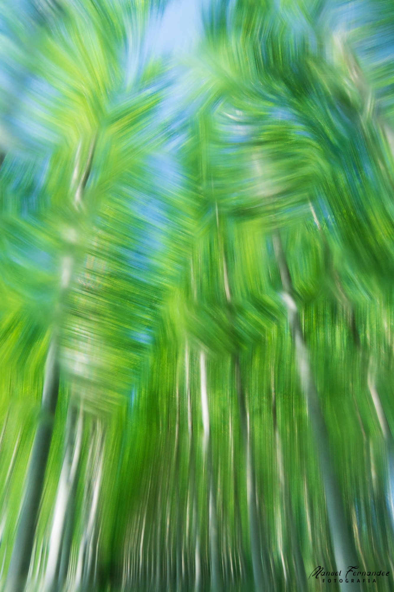 Jalance: Encanto renacido en Los Chopos, joya natural