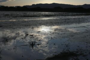 Maravilla en alturas: El deslumbrante Alto de Zaroza
