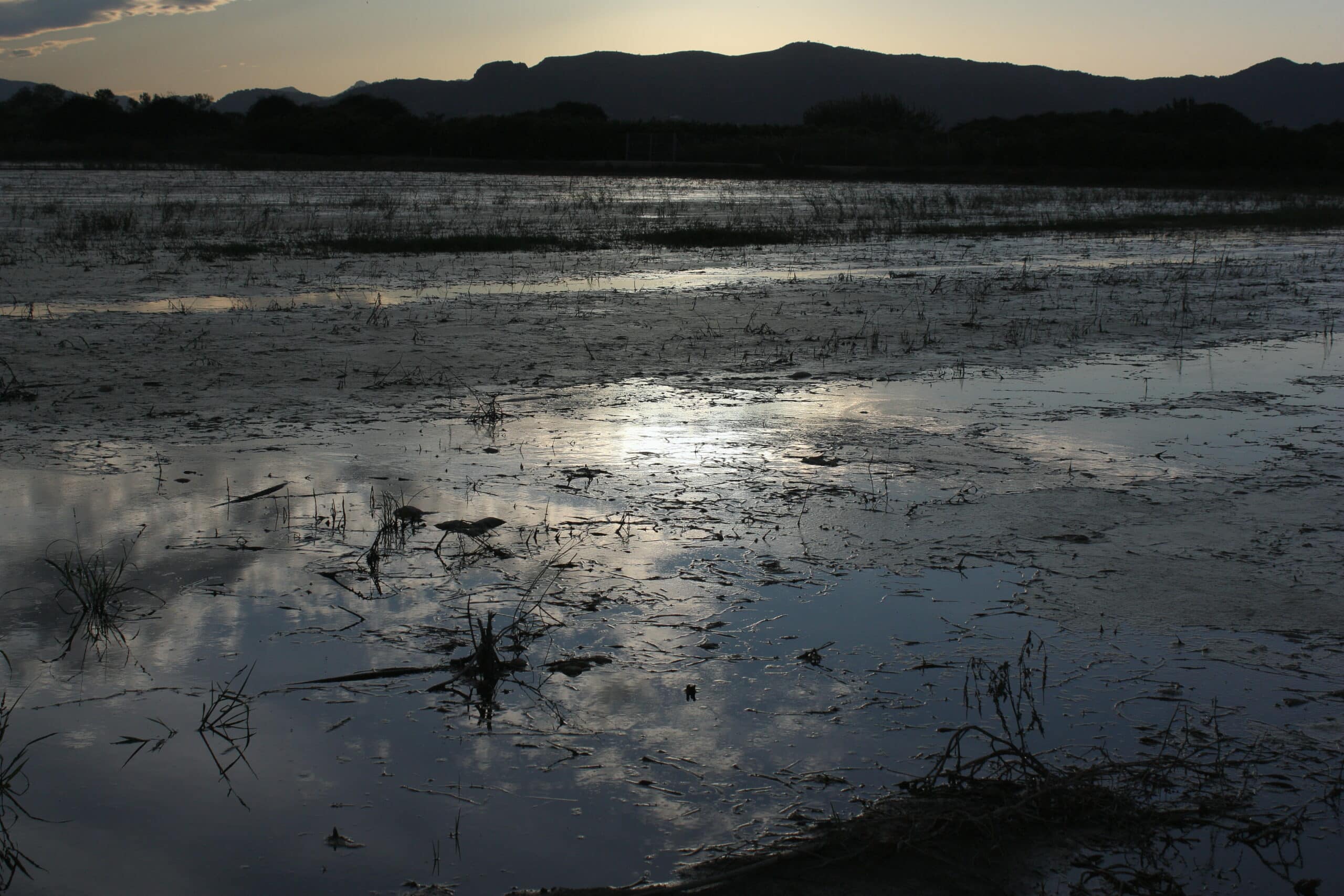 Maravilla en alturas: El deslumbrante Alto de Zaroza