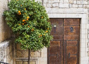 El idílico oasis floral de Llíber: un paseo mágico en Marina Alta
