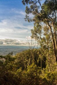 Explora la montaña con precaución y consciencia: consejos para el senderismo responsable