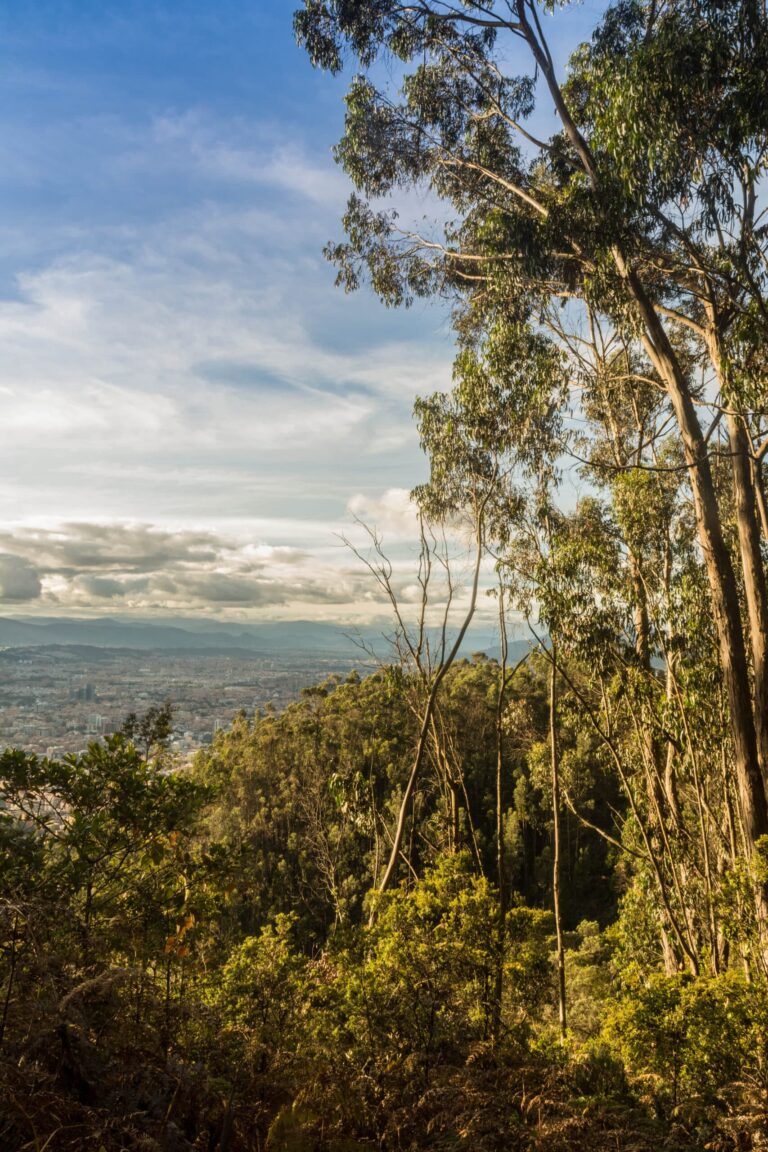 Explora la montaña con precaución y consciencia: consejos para el senderismo responsable
