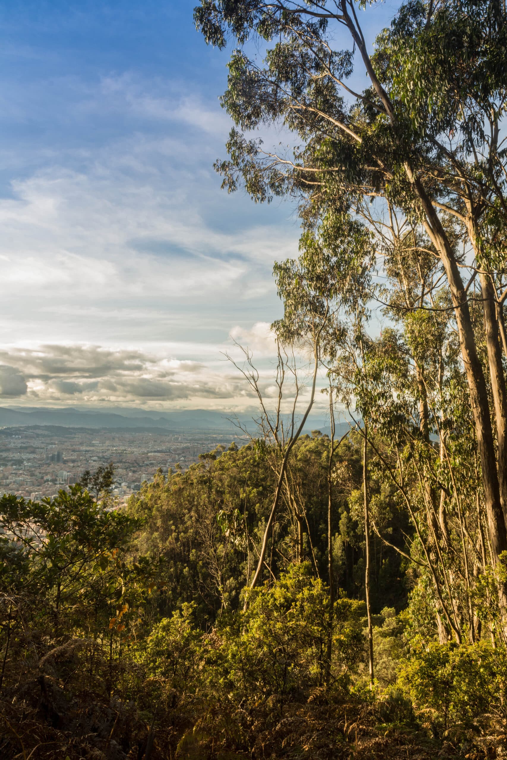 Explora la montaña con precaución y consciencia: consejos para el senderismo responsable