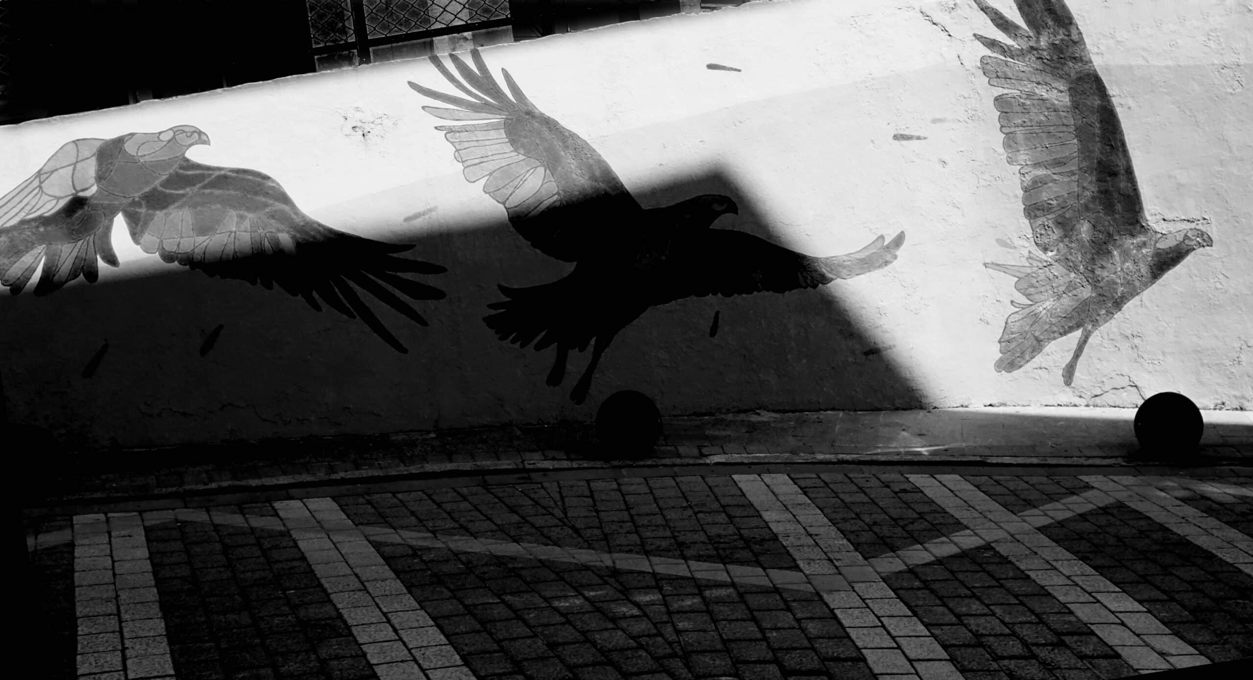 Revive la magia junto al Buñol: Explora La Ruta de los Molinos de Alborache