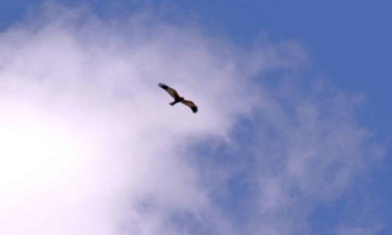 Valencia en dos días: un viaje cautivador a mil maravillas