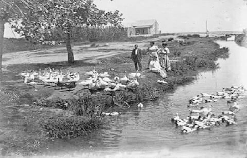 Acequia-de-Vera