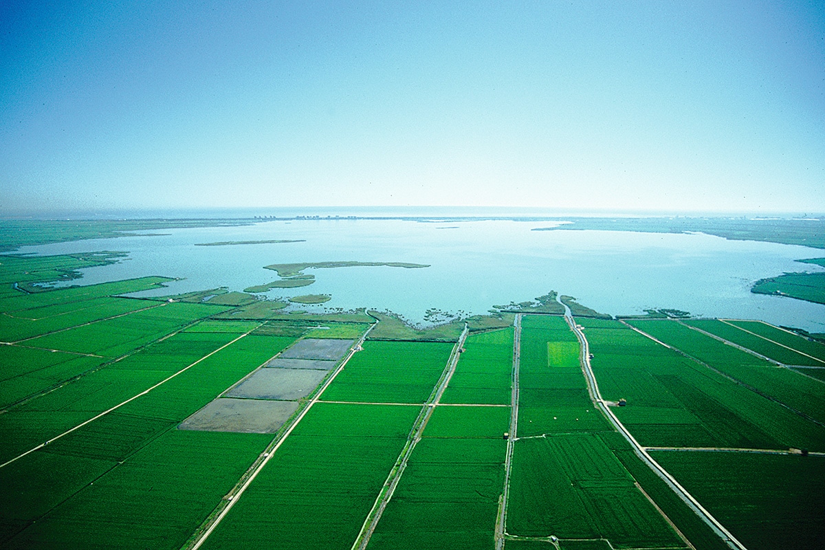 Albufera-Biodiversidad