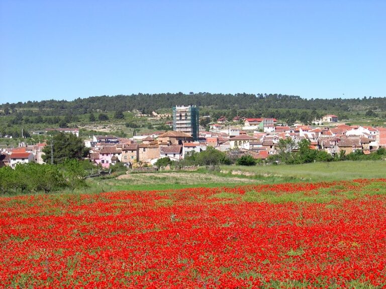 Aras-de-los-olmos