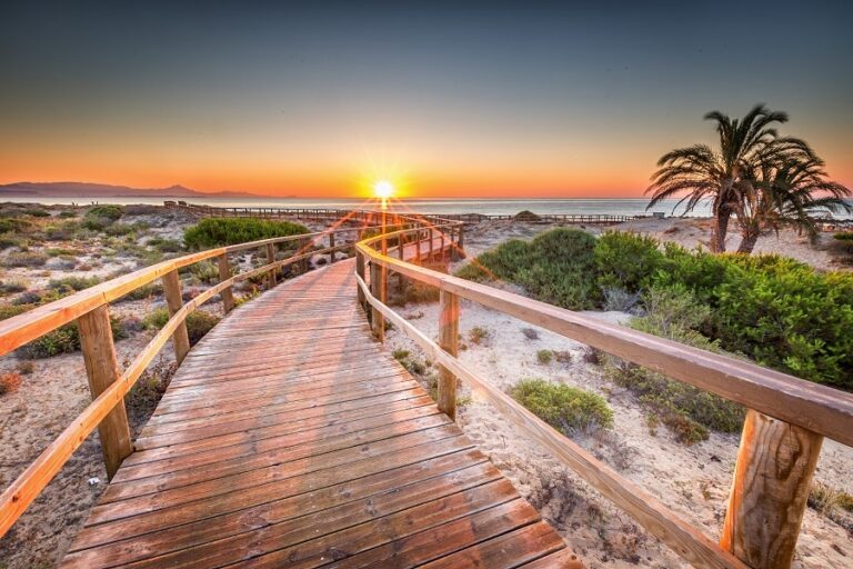 arenales del sol ,elche