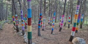 Bosque-Encantado-de-Zarra