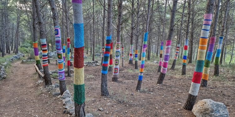 Bosque-Encantado-de-Zarra