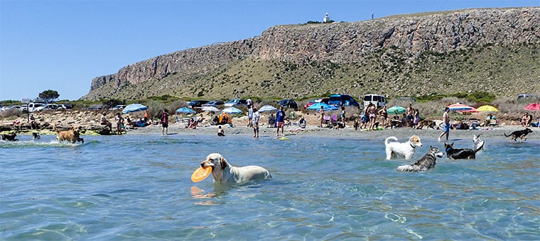 Caleta dels Gossets en Santa Pola, Alicante