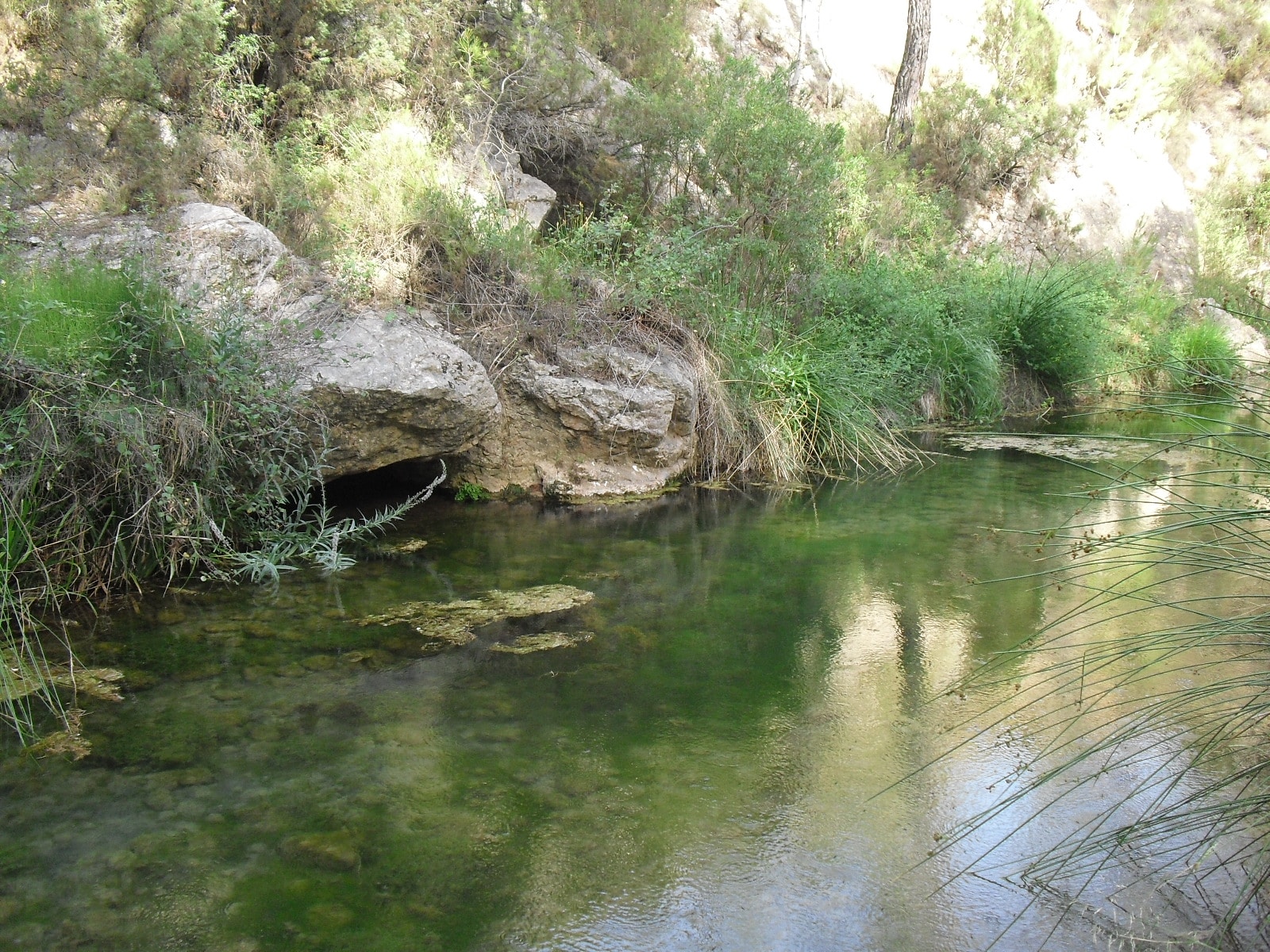 Charco Negro de Sinarcas en Valencia