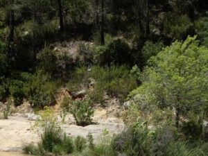 Charco de los Morteros en Bicorp