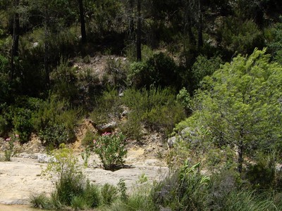 Charco de los Morteros en Bicorp