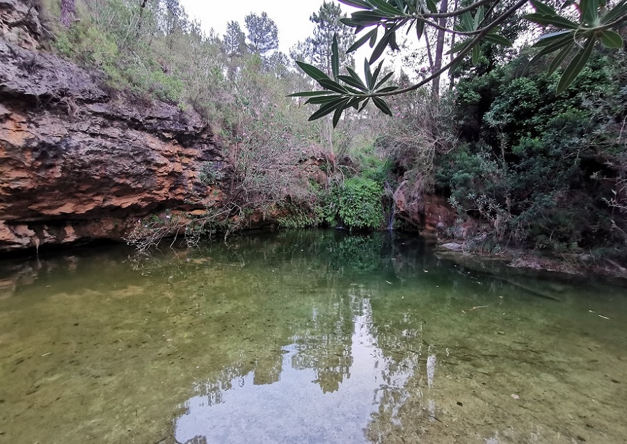 Charco-las-Tortugas-Quesa