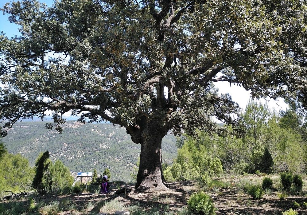 chorrador-de-la-umbria