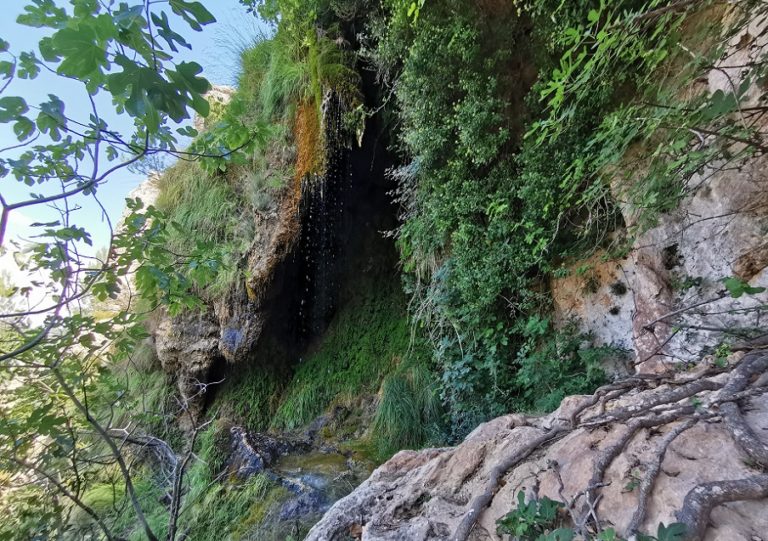 Chorrador-de-la-Umbría