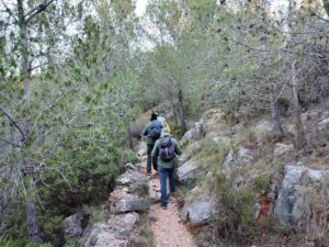 Collado, Alpuente
